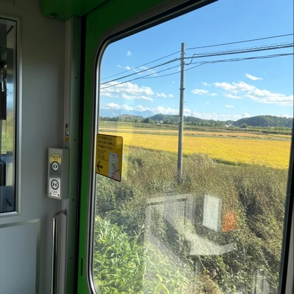 電車1人旅🚃