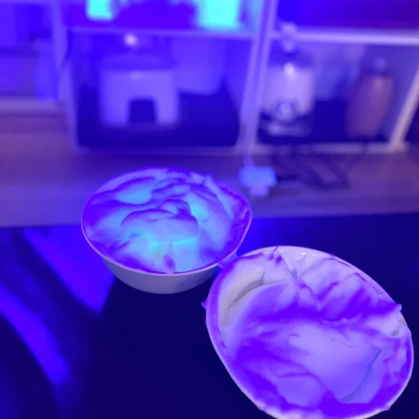 🆕ホイップデビューしました🫧💓