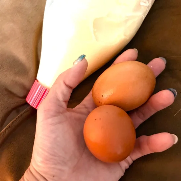 🥚朝ごはんは…これだけ🤣