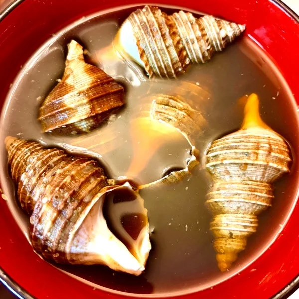 🍺晩酌の流儀🐚