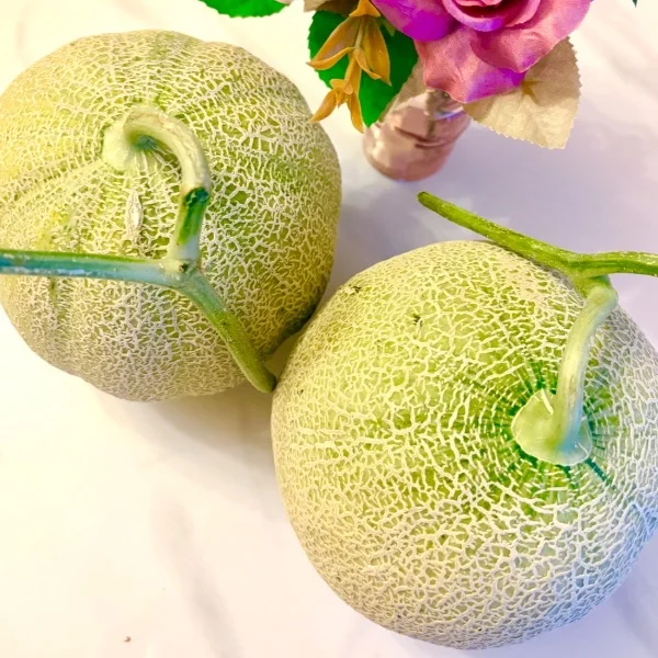 🍈嬉しいプレゼント🩷