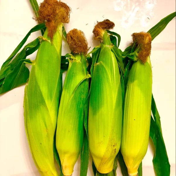 🌽採れたていただきました💖
