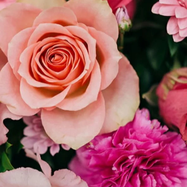 💌 7/30 15:15~💌