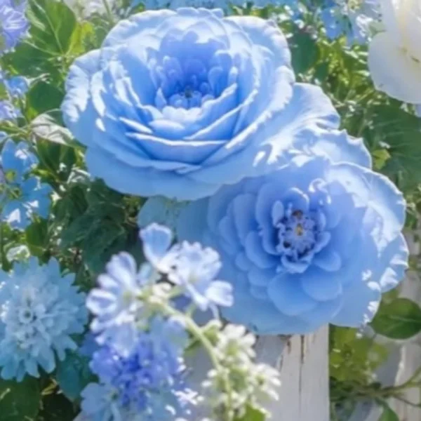 💌7/28 11:00~💌