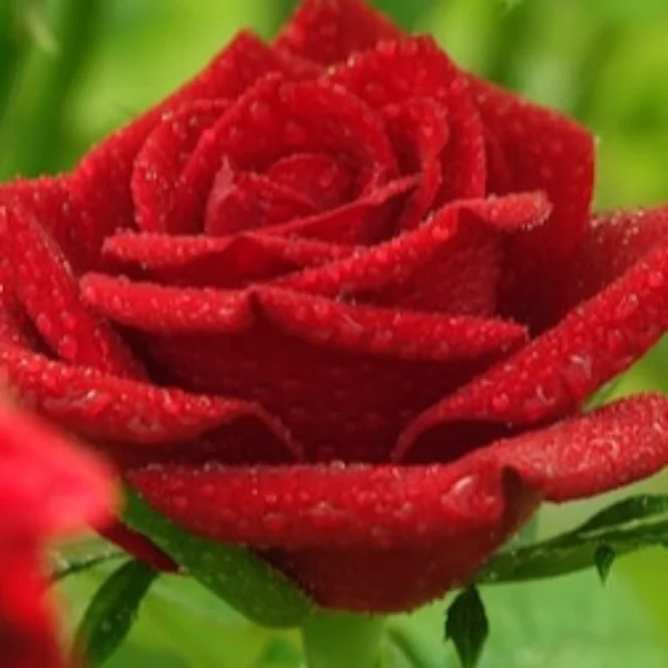💌 6/18 14:10~💌