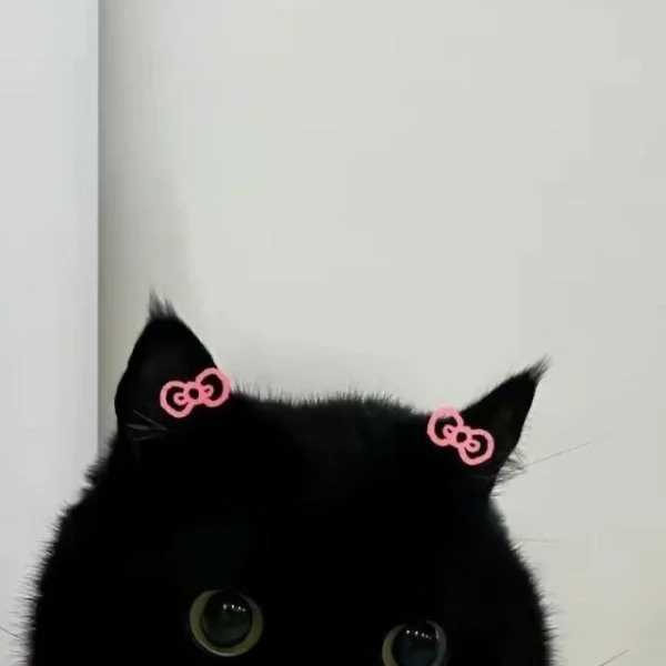 お礼🐈⬛🤍