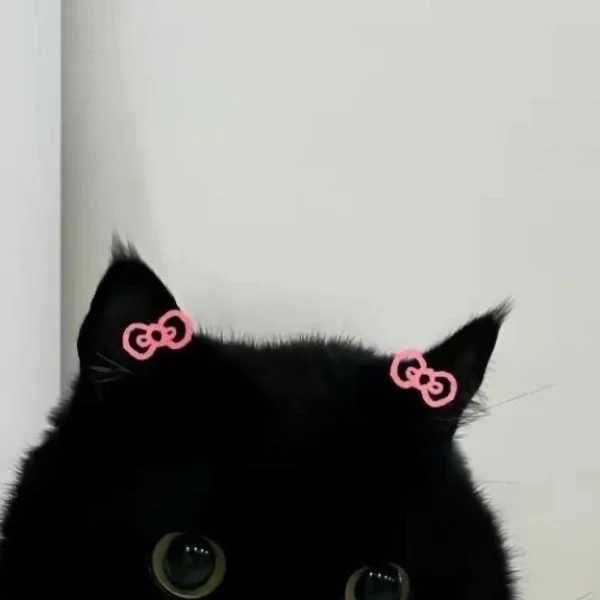 お礼🐈⬛🤍