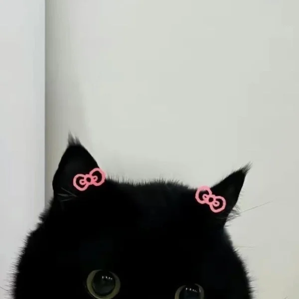 お礼🐈⬛🤍