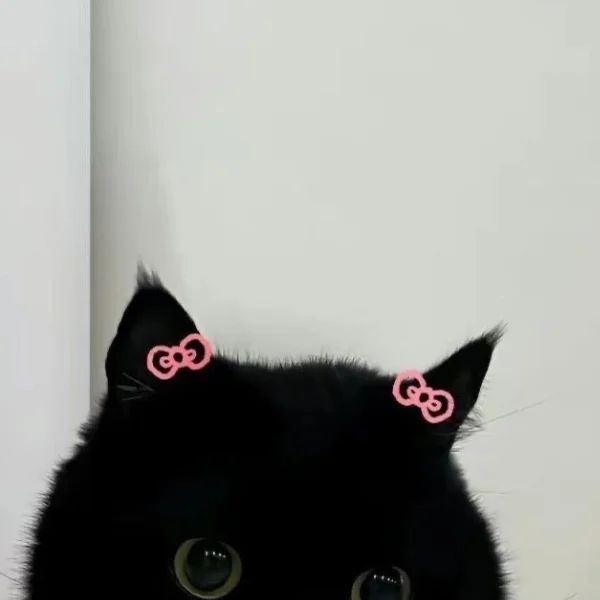 お礼🐈⬛🤍