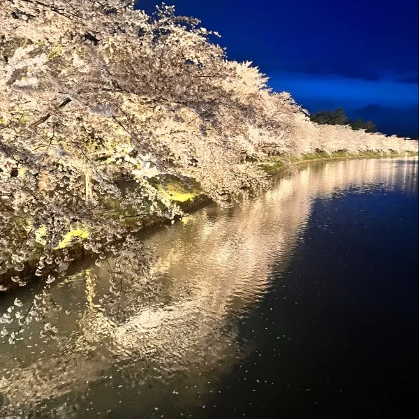 出勤変更、お知らせ📢
