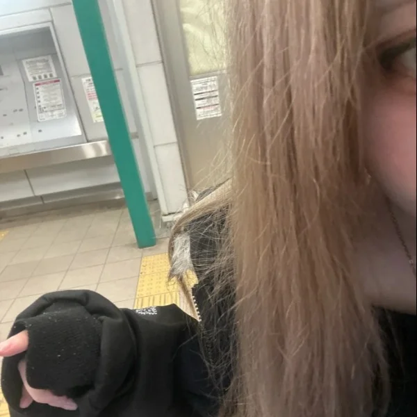 12時からいましたよᴗ  ̫ ᴗ