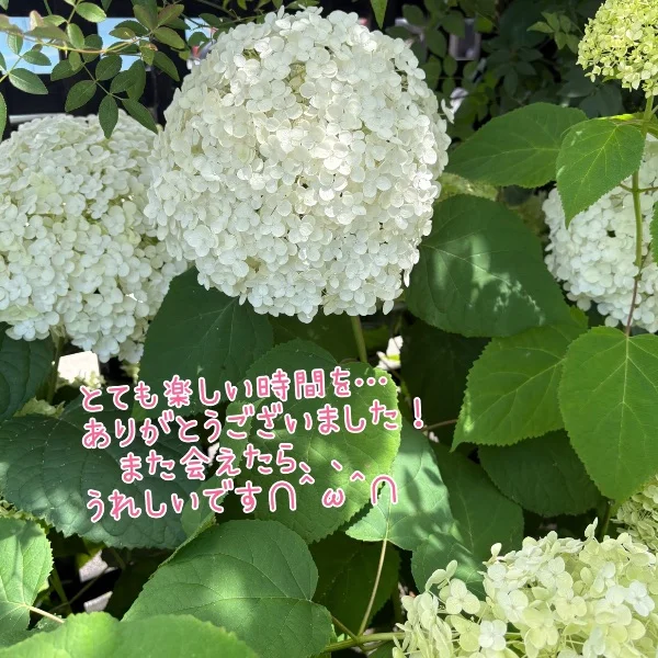 楽しかったよ☺️