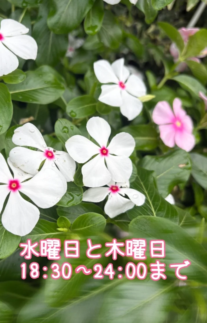 こんにちは☀️