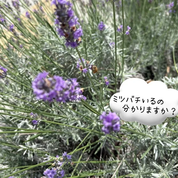 出勤です(≧∀≦)