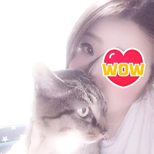 ご案内情報チェック✅
