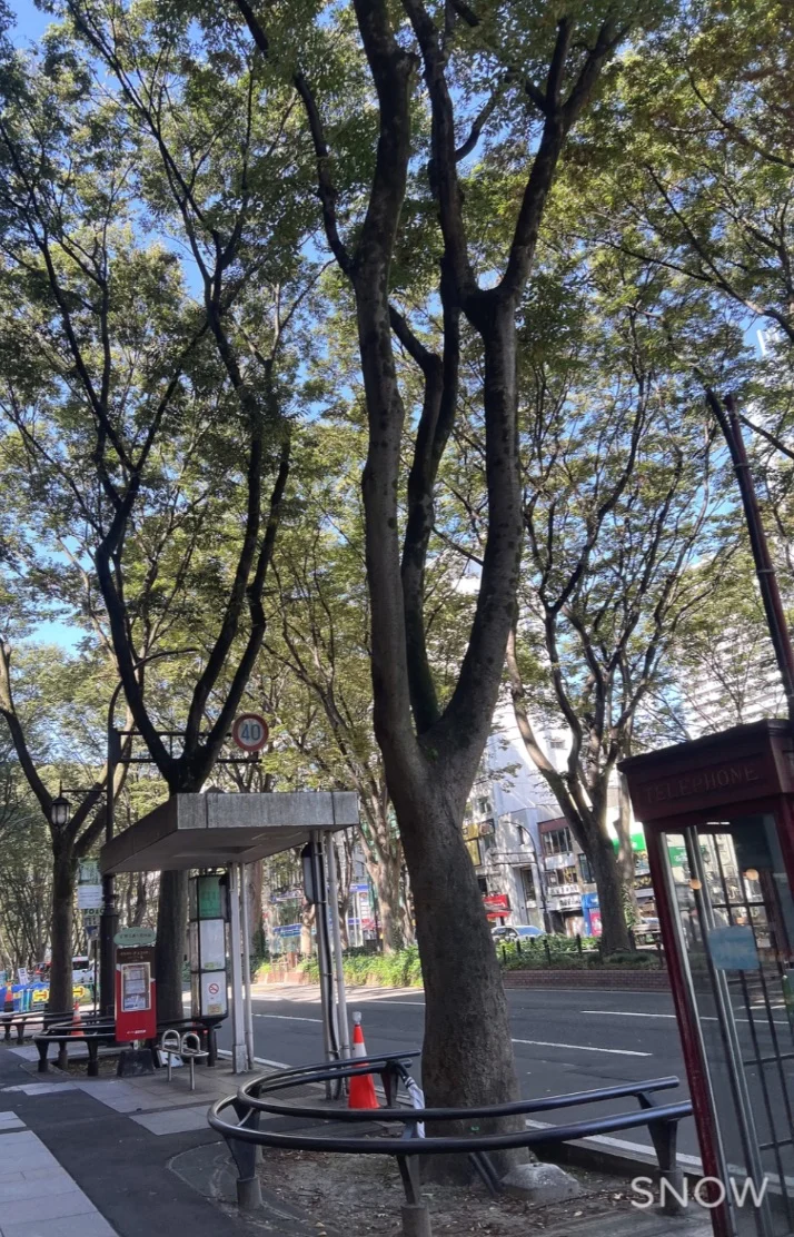出勤します。