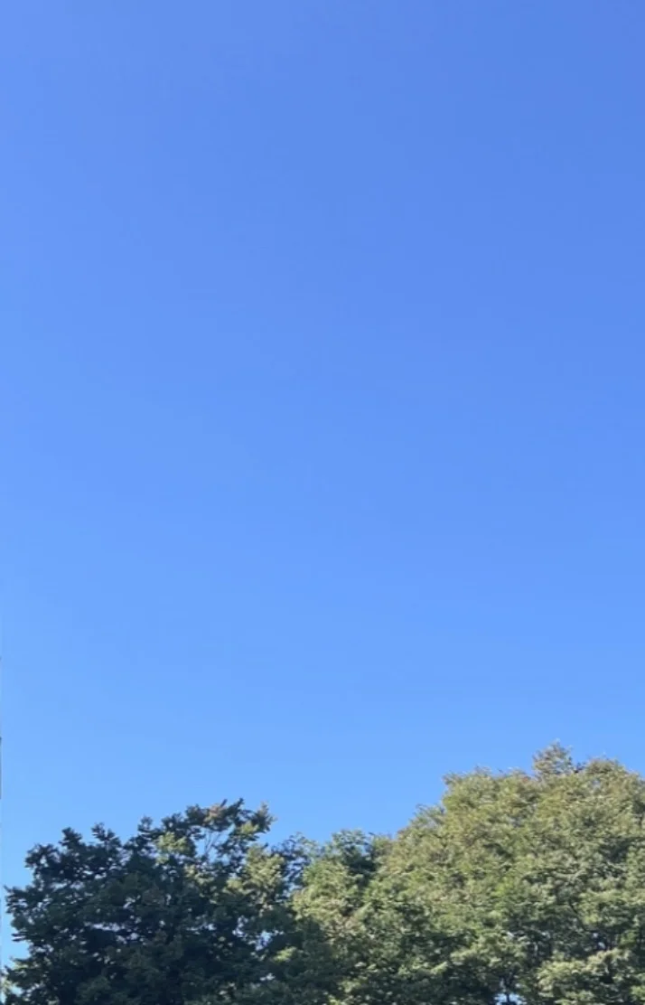出勤します。