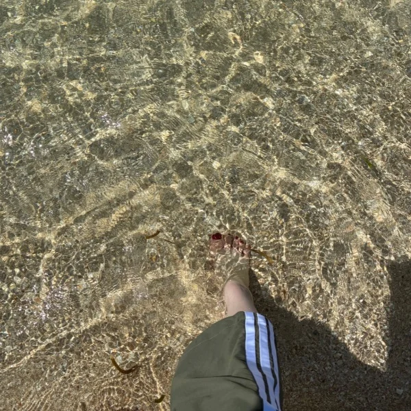 🏖️🌺