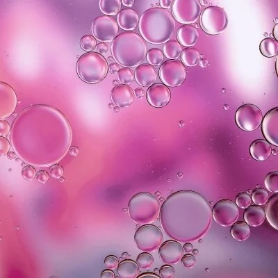 お店の特徴その3