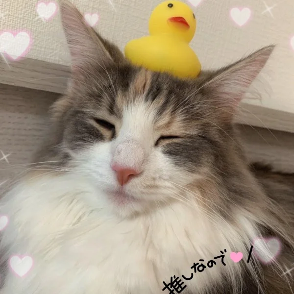 🦄