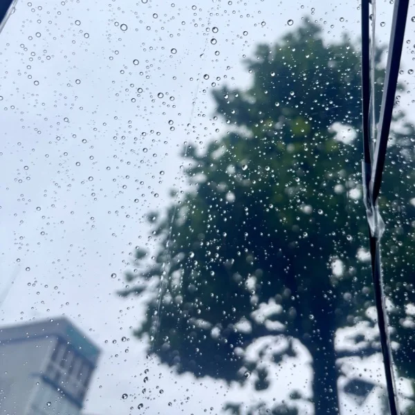 出勤💡