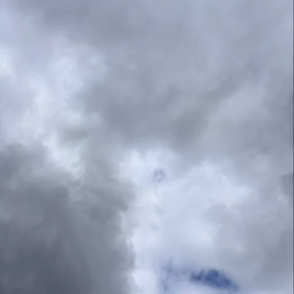 おはようございます🍀