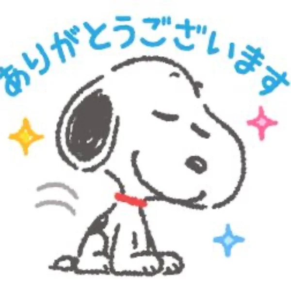本日完売ありがとうございます🤍