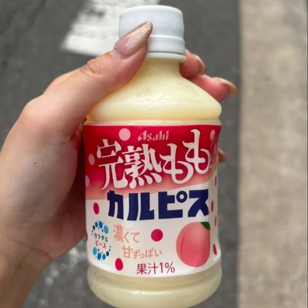 今日はお休みです☪︎