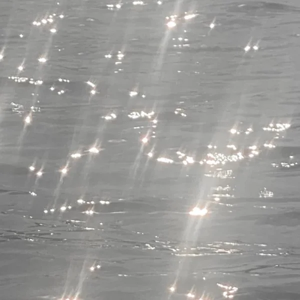 明日から✨
