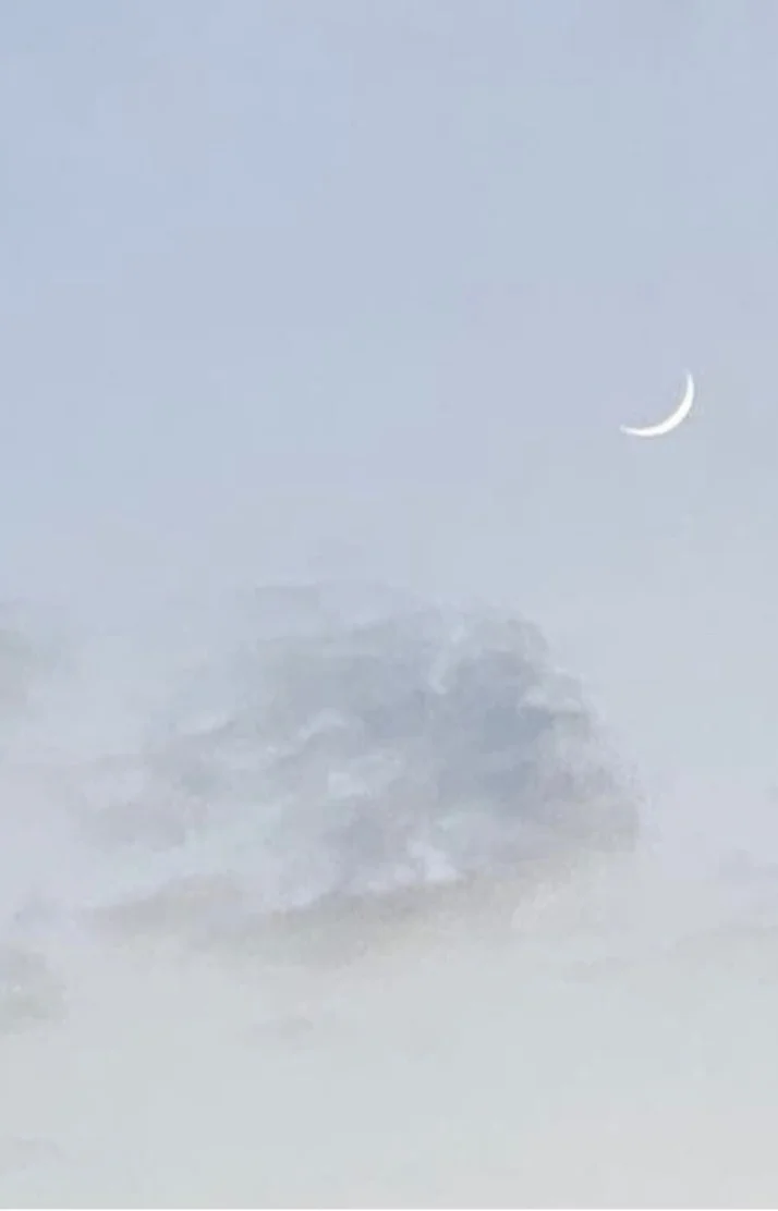 います☆彡