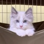 採用担当の田中さん