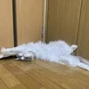 自由出勤ってどういうこと？のサムネイル