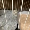 ゆめはなの研修って何やるの？のサムネイル