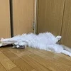 自由出勤ってどういうこと？のサムネイル