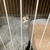 ゆめはなの研修って何やるの？のサムネイル