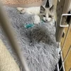 ゆめはなはお部屋が綺麗✨のサムネイル