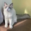 人を癒す事ができるお仕事です！セラピストさん大募集中✨のサムネイル