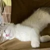 実はゆめはなは精神的に疲れている人におすすめの職場ですのサムネイル