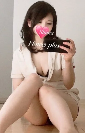 椎菜