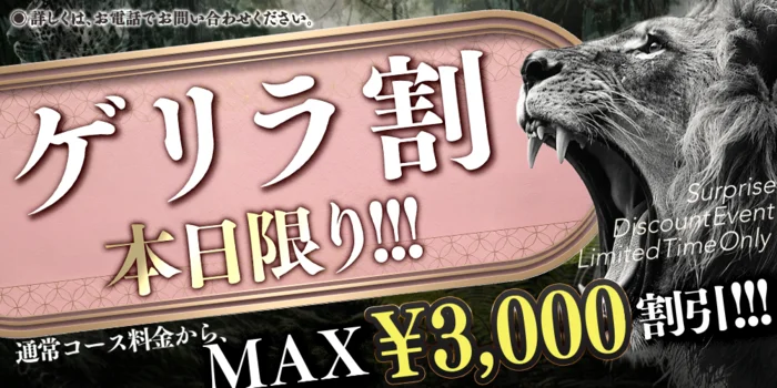 ADVENTURE SPA ZOO(ズー)