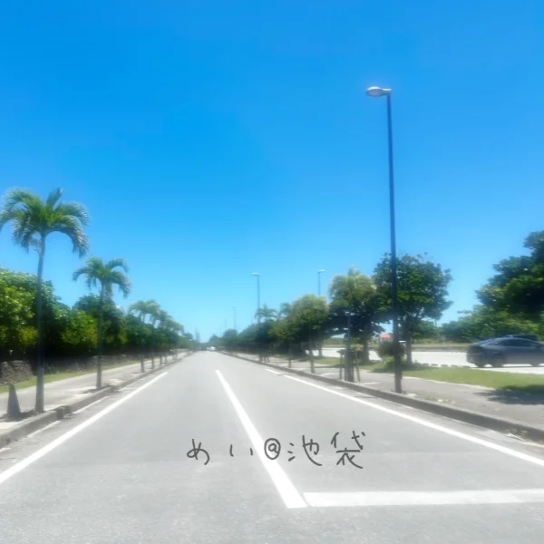 めいの休日ᐢ.ˬ.ᐢ