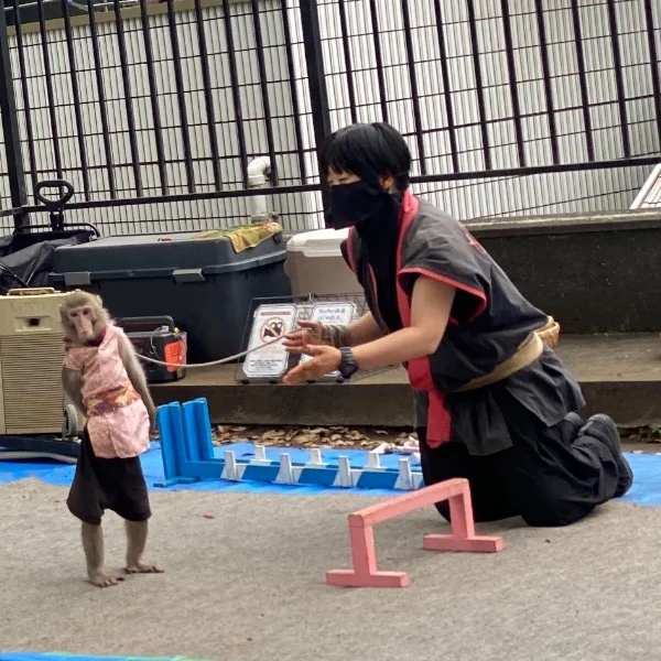 Sさま