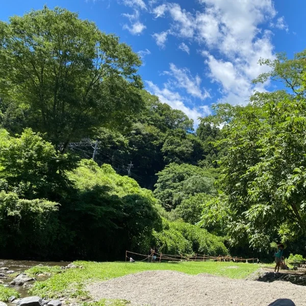 本日11:00〜15:00