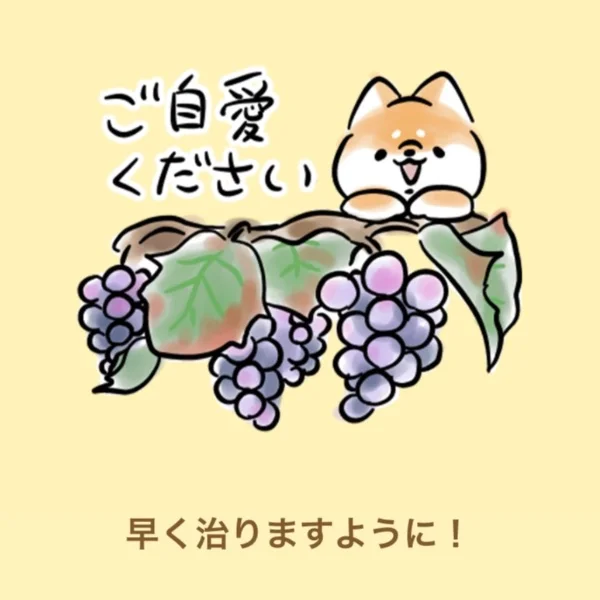 すこしおやすみ頂いてます🤧