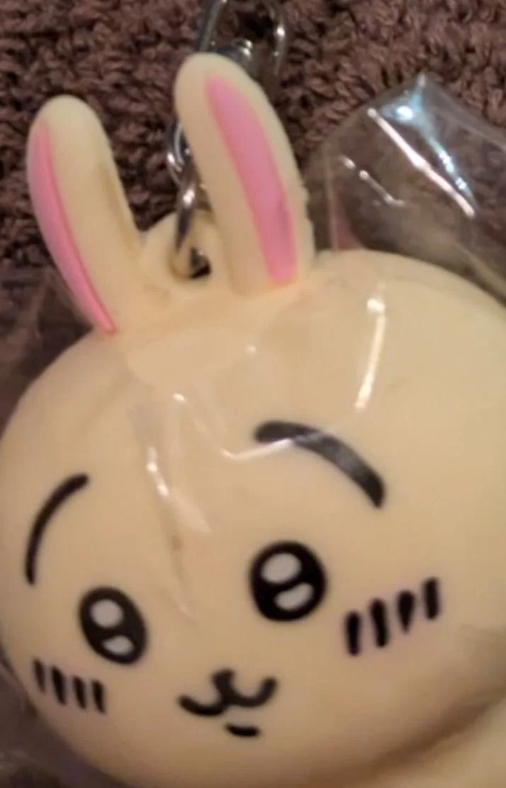 あすなです🌸うさぎかわいい🐰