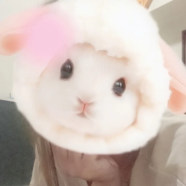 あしたとあさって୧( ˃◡˂ )୨