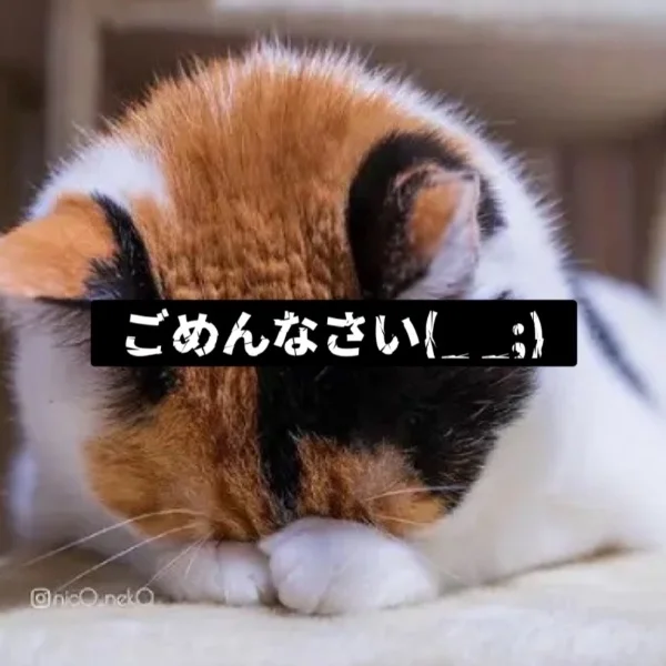 本日。。