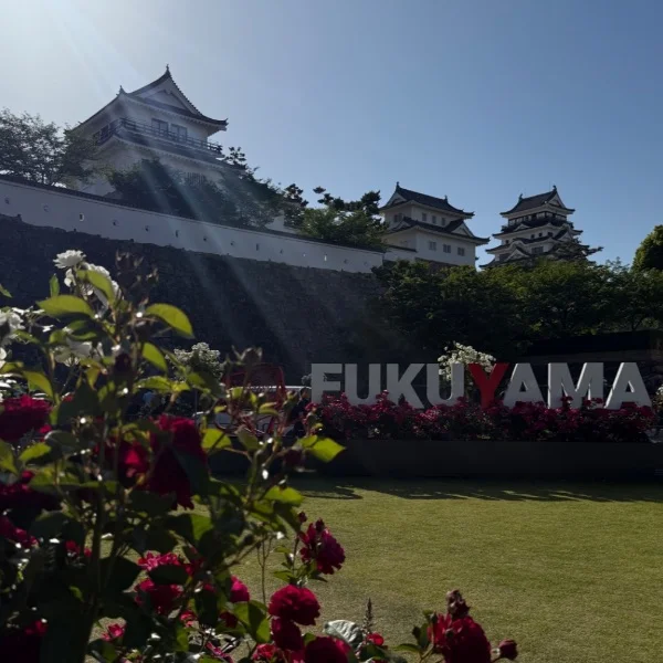 18時から♡