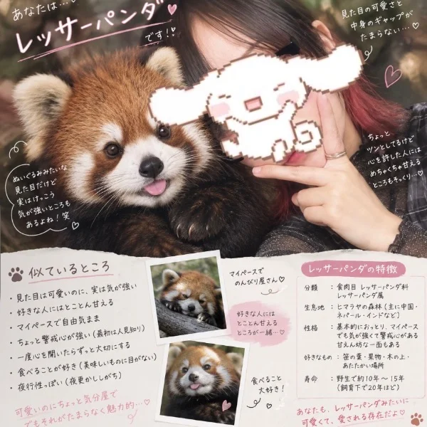 私、何の動物に似てると思う?♡