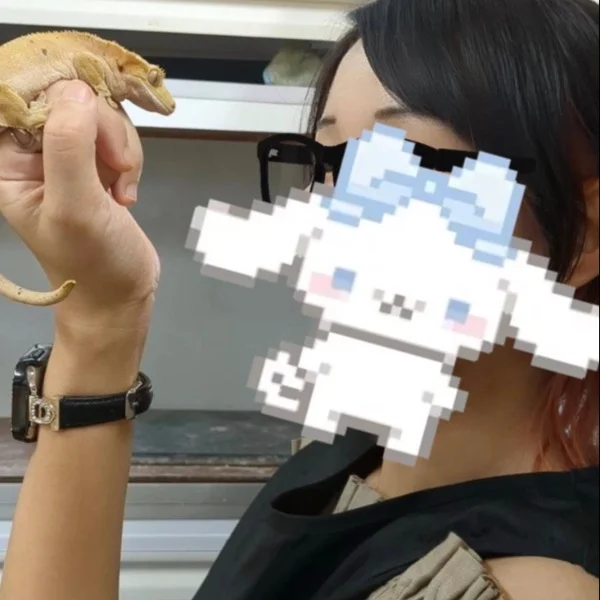 12時から♡